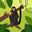 Humberto Martinez user image