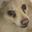 Tha_Blu_Guy 01 user image
