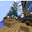 SNEP_YT Gamer user image