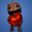 Kai dangoo user image