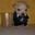 El ladron del counter strike user image