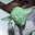termiramtor user image
