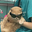 winky user image