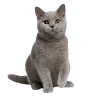 N user image
