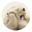 Kumo user image