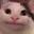ini Anjing user image