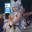 CO KU user image