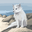 Sbay user image