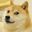 ModernDog user image