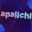 apalichi user image