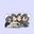 Rara user image