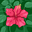 Joice Santos user image