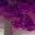 Blurrs Conjunx user image