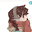 Rebeca Lacerda user image