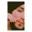 MICKEY BHINDER user image