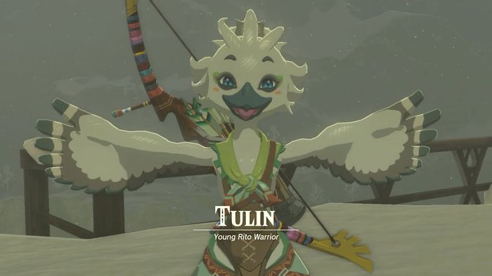 Tulin (Tears of The Kingdom)