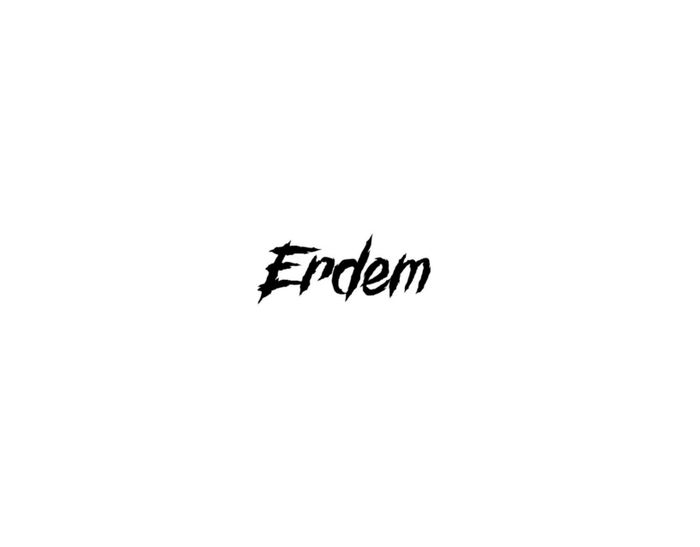 Erdem(Youtube audio dubbing content producer)