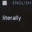Literally A Guy Trying To Pronounce Literally Meme