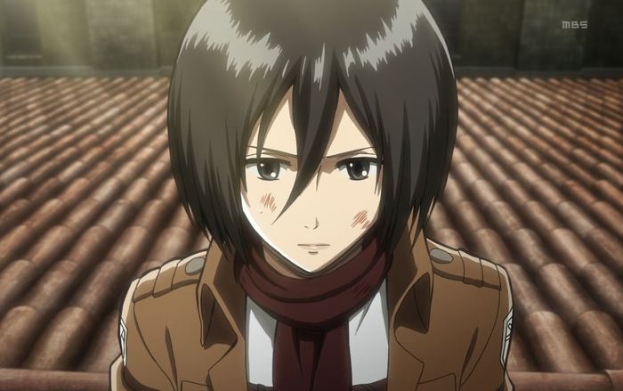 Mikasa Ackerman (Attack on Titan)