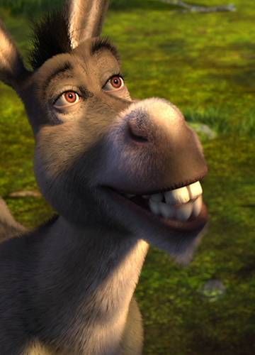 Donkey