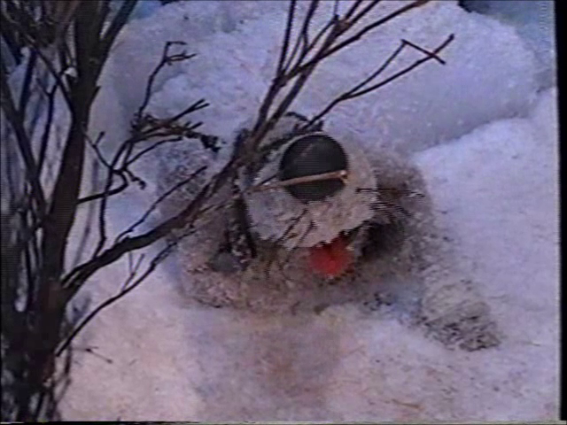Jack The Dog (Bear In The Big Blue House)
