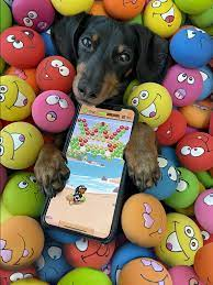 Crusoe (Crusoe the Dachshund, Remastered)