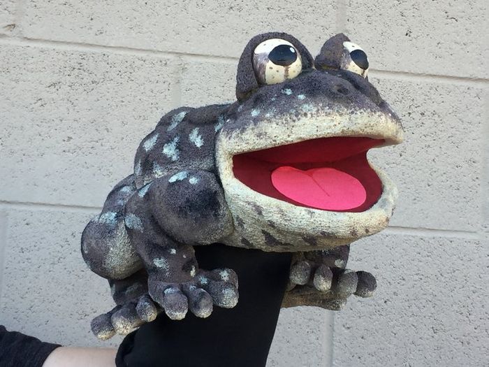 Monty the Southern Mountain Yellow-Legged Frog
