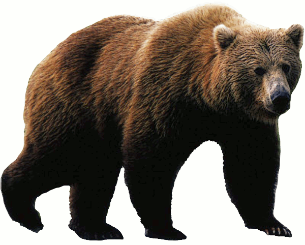 vlad