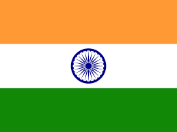 Veena (Indian English TTS)