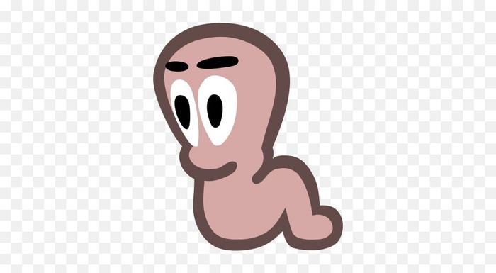 Worms