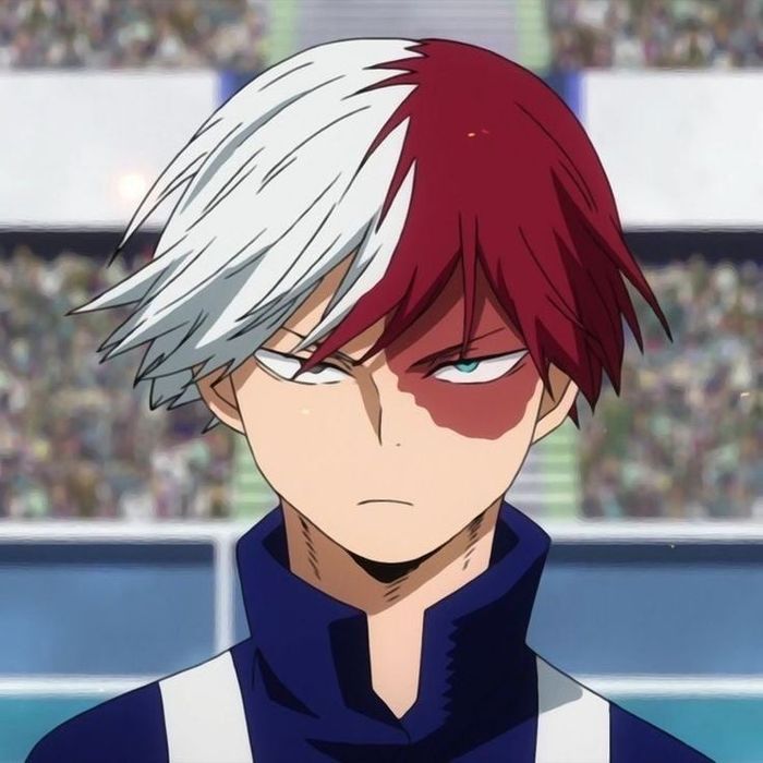 Todoroki español latino