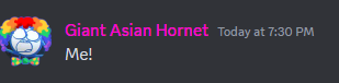 feliho (discord friend)