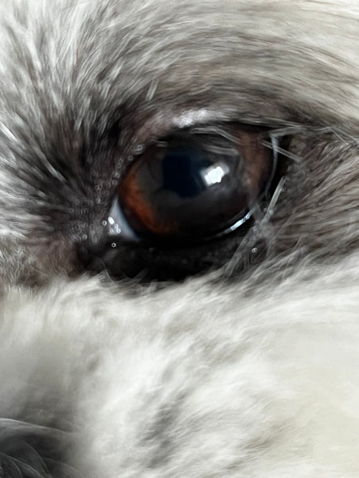 Hey
