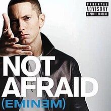 Eminem (Not Afraid)