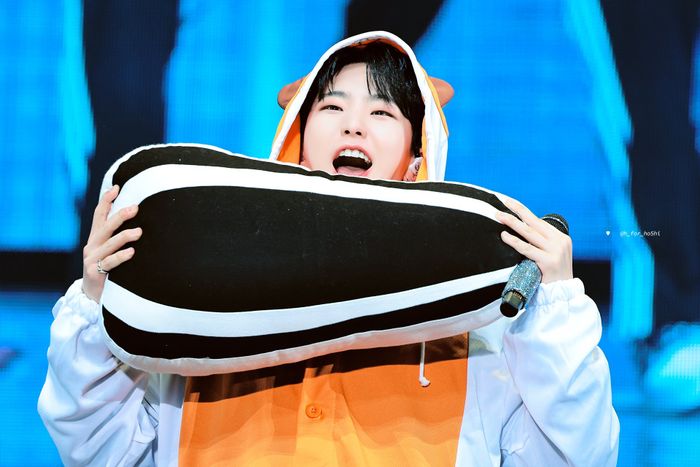 hoshi