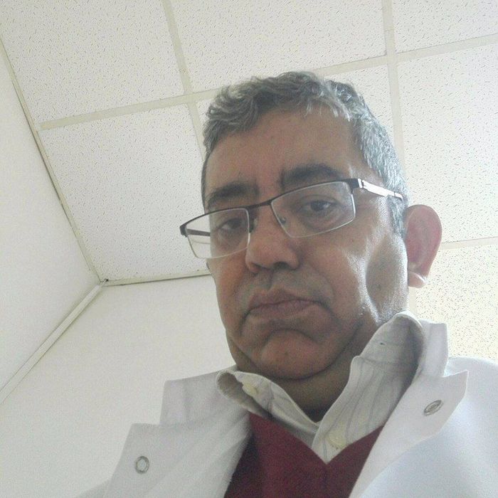 Hakim bey