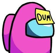 Dum (among us logic