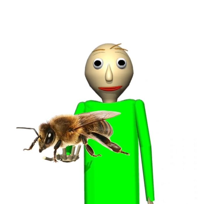 I hope you like bees