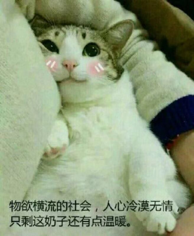 ZM