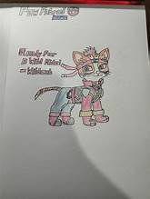 Wildcat (PAW Patrol Rideout)