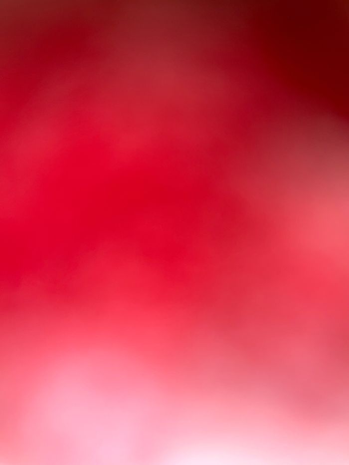 ‎ ‎ ‎ ‎ ‎