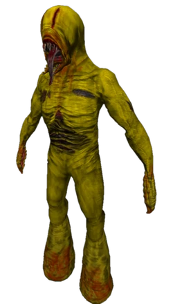 Agro Partygoer