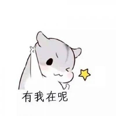 邓zq