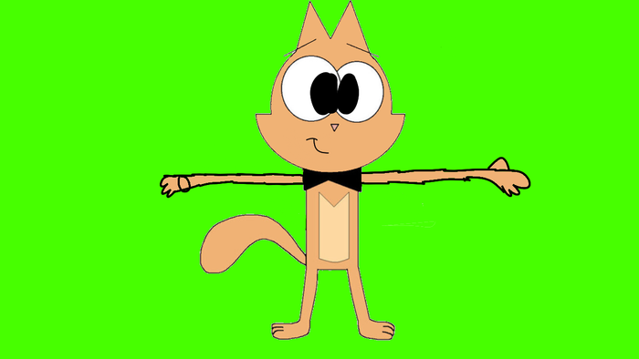 Conroy Cat (SMCM)