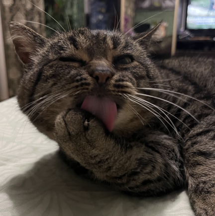 Cw