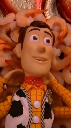 Woody (SML)