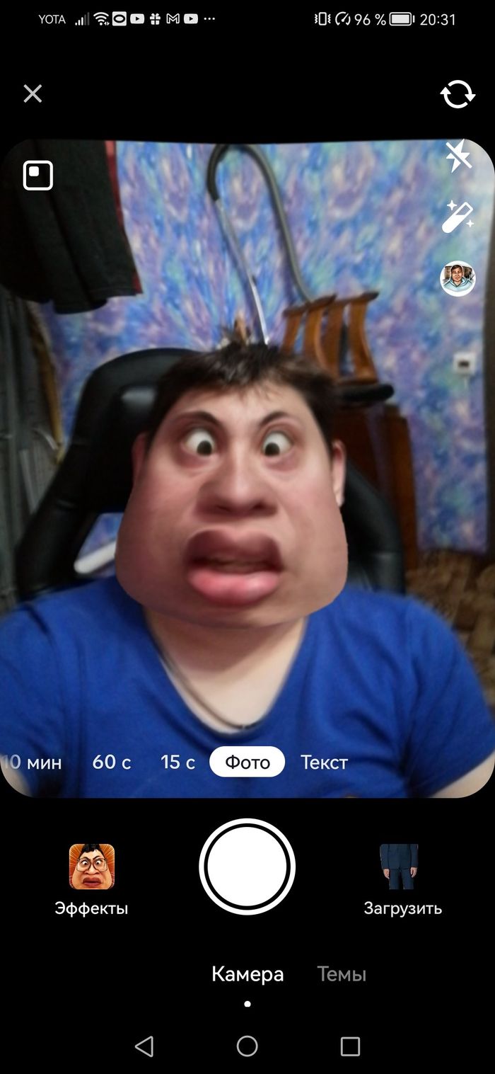 Peltnik