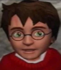 Harry Potter (Sorcerer's Stone (US From PS2)) (Tom Attenborough)