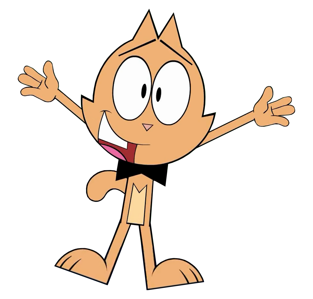 Conroy Cat (SMCM)