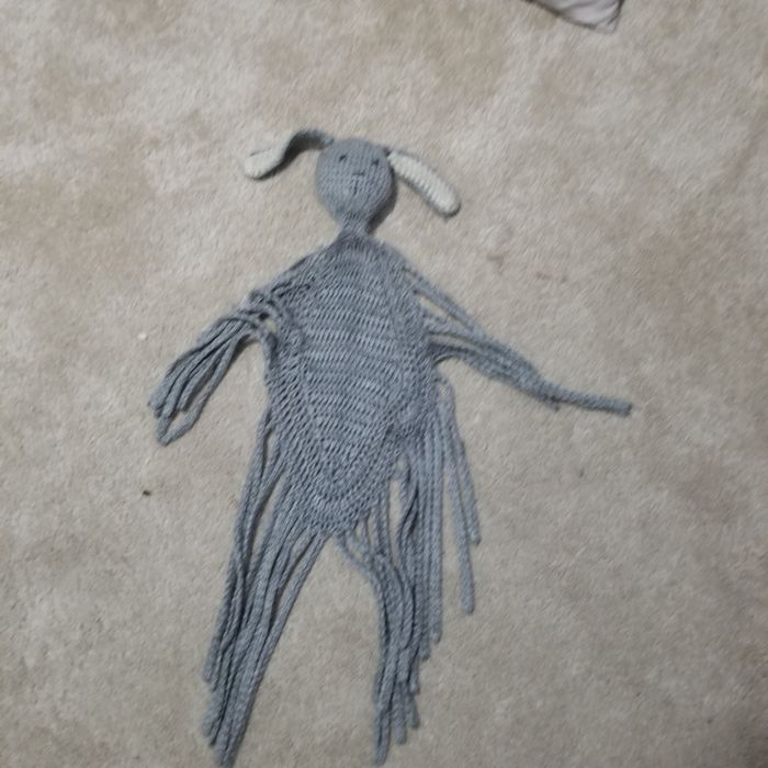 Guy